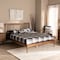 Baxton Studio Abel Traditional Transitional Walnut Brown Finished Wood Platform Bed-Full 192-11498-ZORO - alternate 1